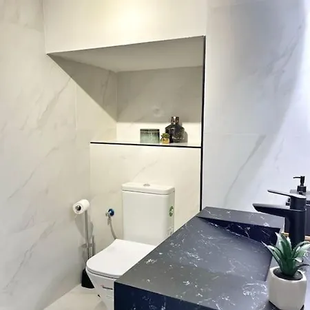 Tennessee Penthouse 公寓 *